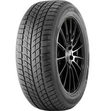 DoubleStar 315/35R20 106T Winterking DW09